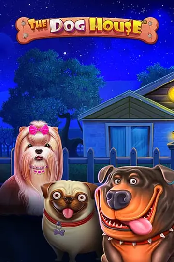 The Dog House — Spinanga